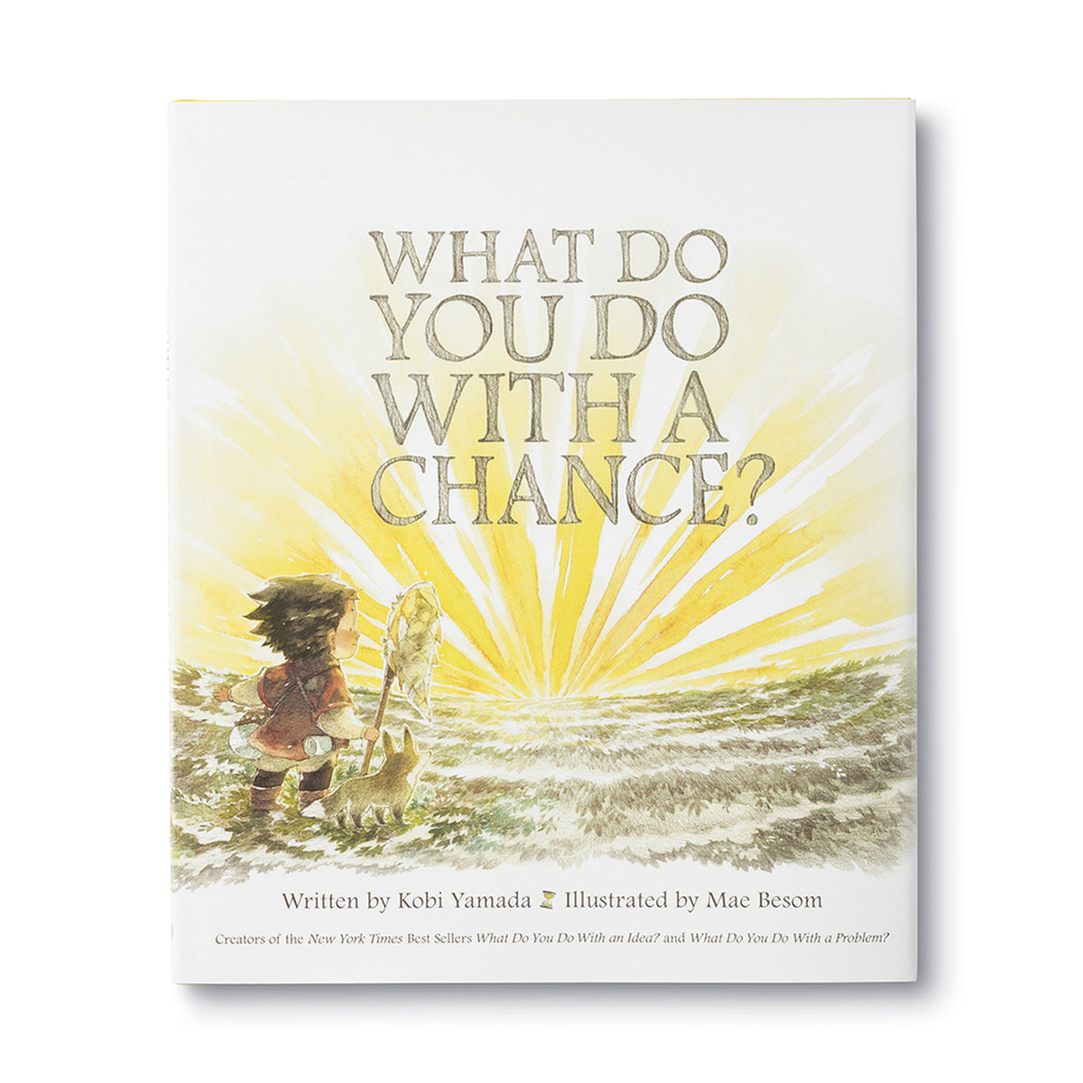 Book - What Do You Do With A Chance