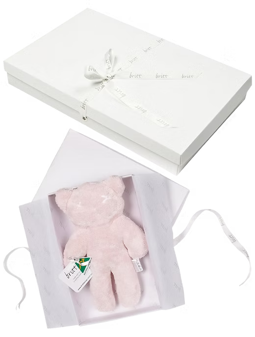 Britt Snuggles Bear — Pale Pink