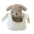 Alimrose Puppy in Carrier 'Biscuit'