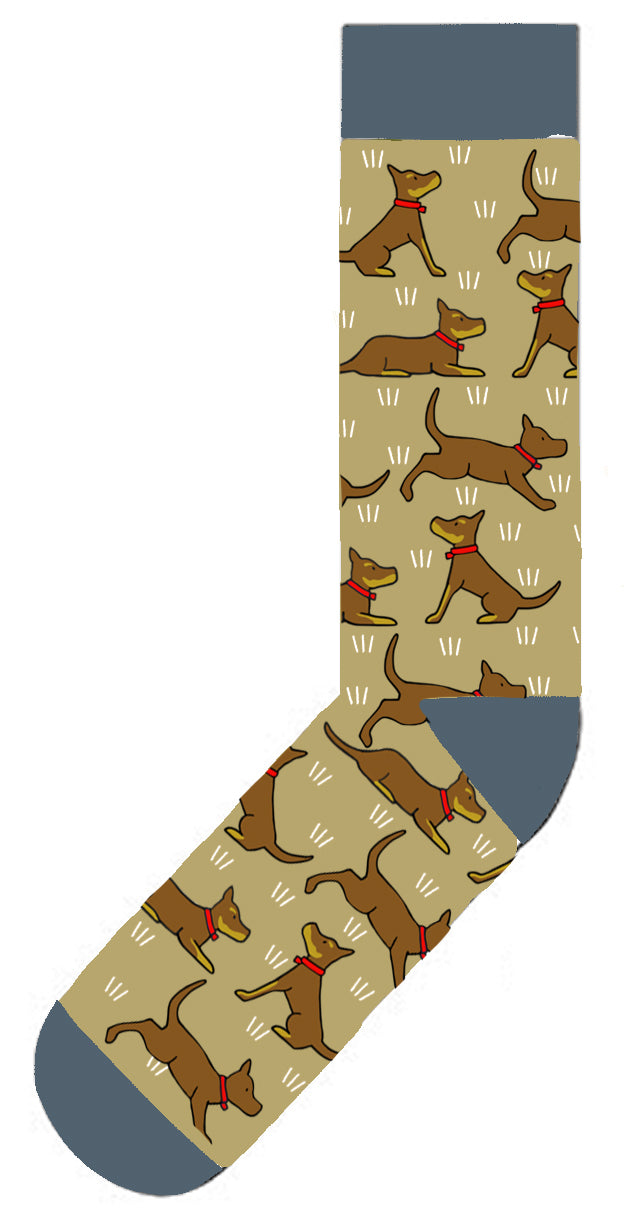 Red Tractor Designs Cotton Socks — Red and Tan Kelpies