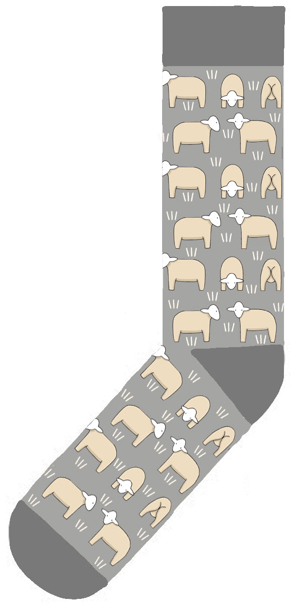 Red Tractor Designs Cotton Socks — Sheep